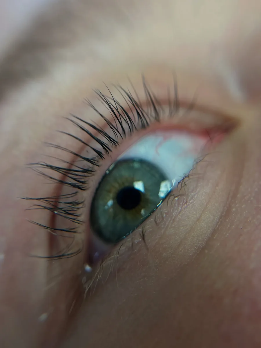 A lifted, curled set of natural lashes